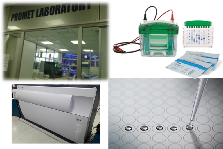 Proterm Lab Proteomics And Metabolomics Unit